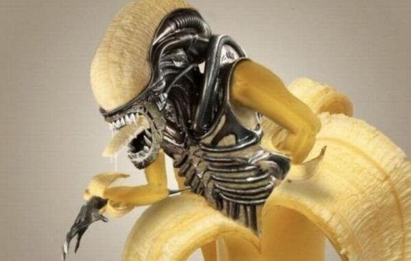 Shocking: GMO Bananas To Be Tested On American Students