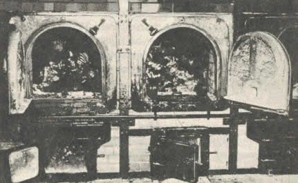 Nazi-crematorium-ovens