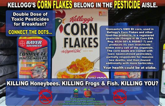 Kellogg’s Cereals: Double Dose of GMO Pesticides & Antibiotics