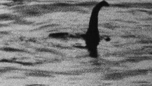 Nessie a fake? Spoilsport conservationists say Loch Ness Monster is just a log