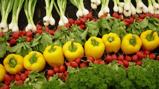 Scientists claim that Organic farming can feed the world if done right
