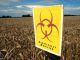 EU set to allow controversial GM crops to be grown in Britain