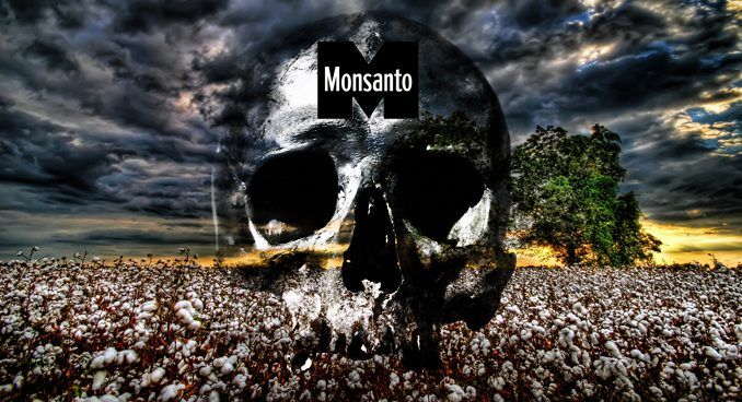 USDA Approves New Monsanto Cotton And Soy Crops