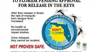 Millions of GMO mosquitoes may be released in the Florida Keys