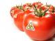 Biopiracy: Monsanto Tries Patenting Natural Tomatoes