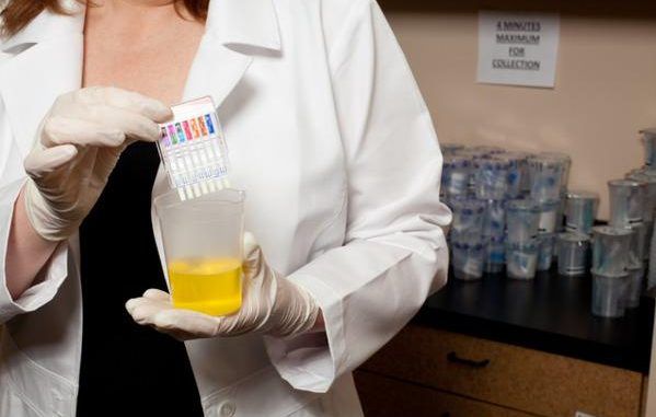 A dozen states consider drug testing welfare applicants