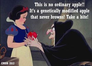 USDA approves Gene-Altered Apples