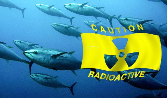 Media And Experts Tell Us That Fukushima Radiation Is Fine For Swimming In!