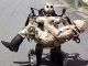 Google's battlefield robot is tested as it 'fights' with U.S. marines