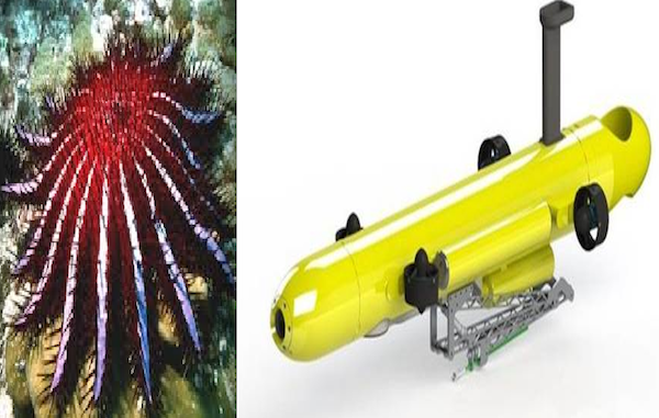 barrier reef crown-of-thorns killer robots