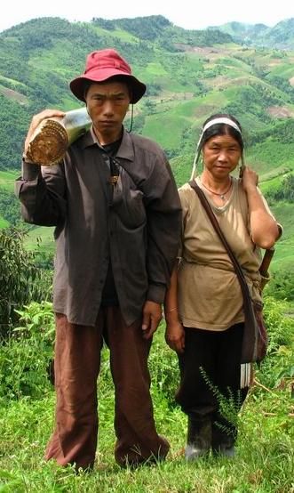 Homo sapiens From Wikimedia Commons: Akha couple in northern Thailand. The husband is carrying the stem of a banana-plant, which will be fed to their pigs.