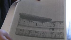Documents show the carrot was just under 2 inches long.