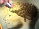 UCLA study shows that high fructose diet can slow brain recovery time