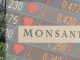 As Monsanto's profits drop, the corporation are forced to fire thousands of staff