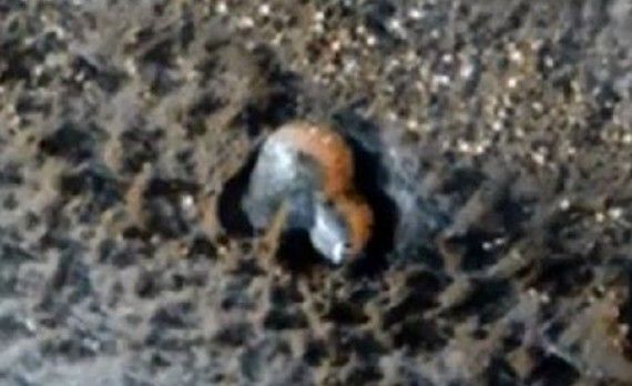  January 2015 image taken by the Mars Reconnaissance Orbiter.