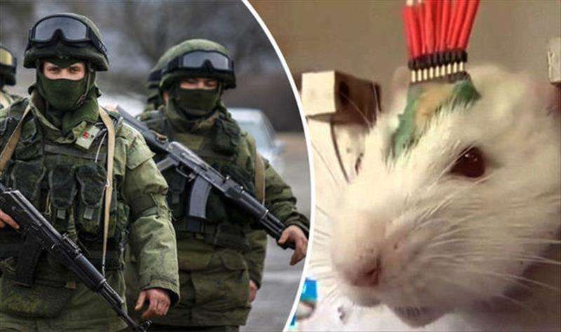 Brave Vladimir Putin has unleashed a new weapon in his valiant fight against ISIS and the threat of World War 3 - an army of super smelling cyborg RATS.