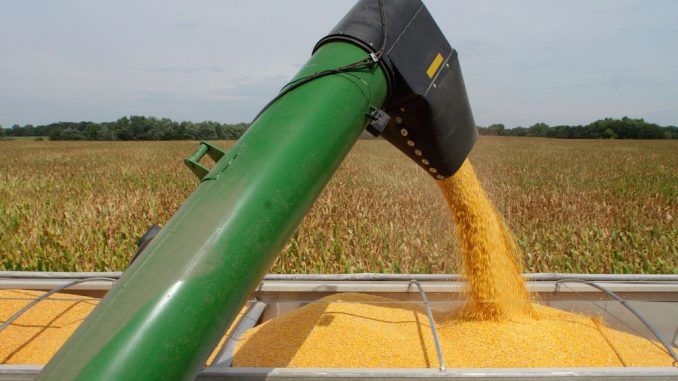 Russia bans American corn and soybeans, calling them 'unfit for human consumption'