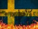 Norwegian PM warns that Sweden is about to collapse, as Norway seals its borders