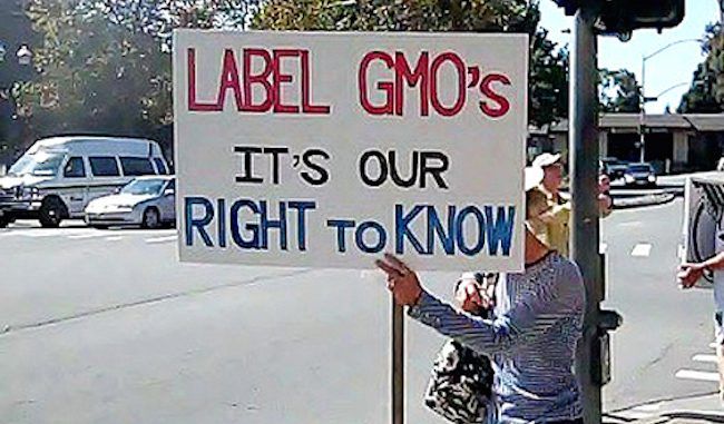 Corporate donors gave $11 million to stop the labelling of GMO food products
