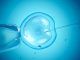human embryos