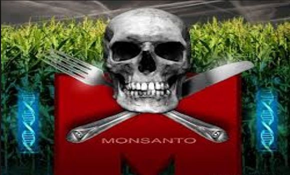 Monsanto-The-World’s-Most-Evil-Corporation