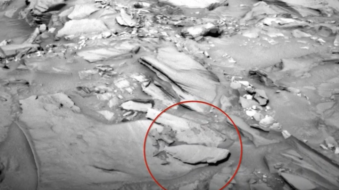 Alien Hunter Spots 'Fish' On Mars