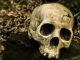 Shakespeare's skull stolen from grave
