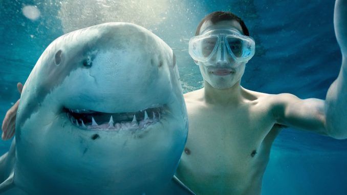 An Oregon man on honeymoon in Miami took a selfie with a shark – and didn’t live to tell the tale