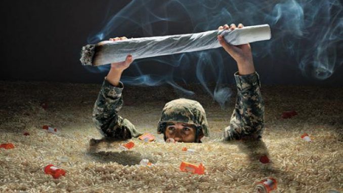 veterans using marijuana to combat PTSD