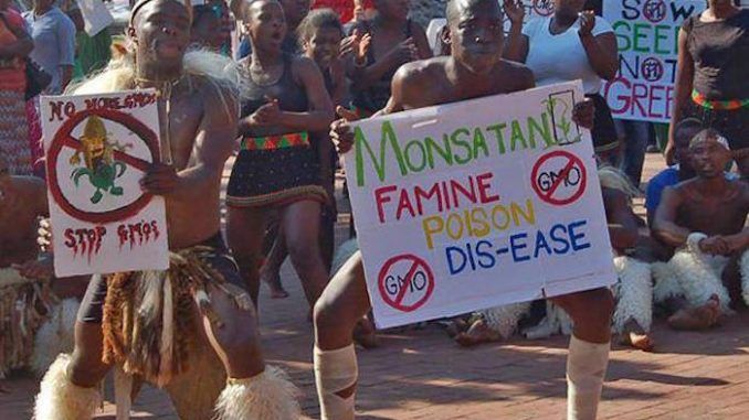 Thousands of South Africans rise up and reject Monsanto