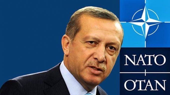 Turkish leader Erdogan runs ISIS on behalf of NATO, claims author