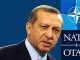 Turkish leader Erdogan runs ISIS on behalf of NATO, claims author