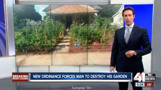 American family ordered to destroy vegetable patch in their garden, as city outlaws growing of vegetables