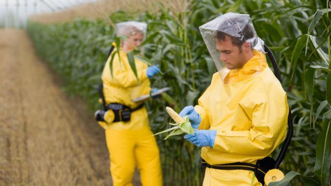Cancer-causing Mosanto's Glyphosate Herbicide Found in Urine of 93% of Americans