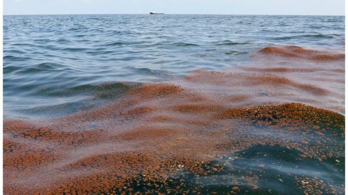 Shell Oil Spill Dumps Nearly 90,000 Gallons Of Crude In Gulf Of Mexico