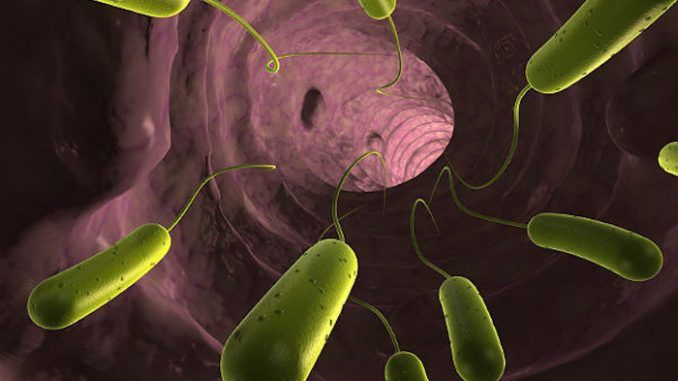 Deadly superbug hits U.S.