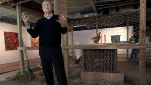 Bill_Gates_chickens