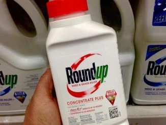 Monsanto sued over claims its popular weed killer Roundup caused cancer in 30 people