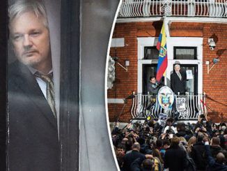 An intruder climbed the wall of the Ecuadorian embassy in London where Julian Assange has asylum, sparking fears the WikiLeaks founder was the subject of a failed assassination plot.