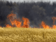 Hungary destroys 1,000 acres of GMO crops by burning them to the ground