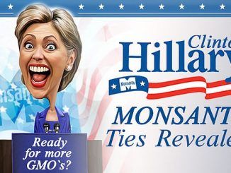 Wikileaks emails show Hillary Clinton inviting a top Monsanto executive to a fundraiser to help put her in the White House.