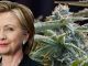 WikiLeaks has revealed that Hillary Clinton told Goldman Sachs bankers that legalization of marijuana will not happen on her watch.