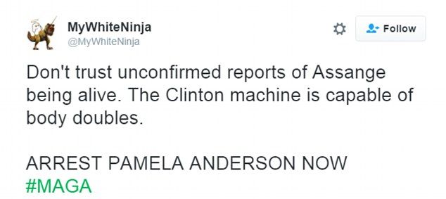 Assange Pamela Anderson 