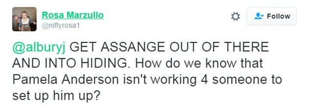 Assange tweet 