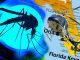 Genetically Modified Mosquitoes Given Green Light In Florida
