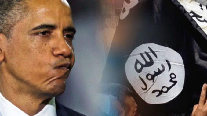 US Claim Of Killing 50,000 ISIS Terrorists 'Fairytale': Ex Diplomat