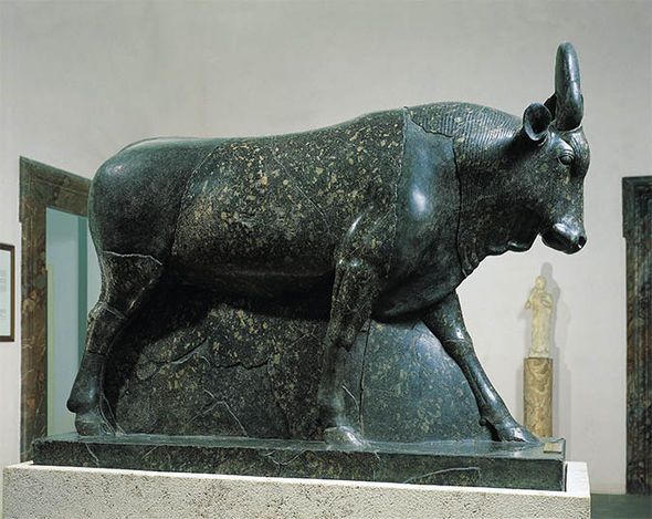 Apis bulls were believed to be incarnations of the god Ptah