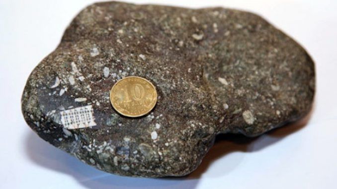 Ancient 250 million year old microchip discovered in Russia