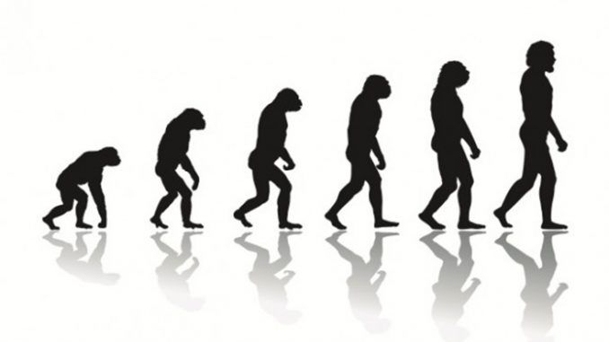 Evolution Darwin