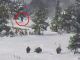 North Dakota resident tracks Bigfoot 7 miles in the snow